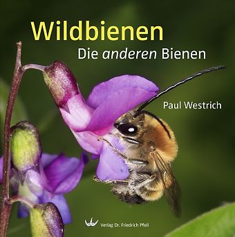 Westrich: Wildbienen – Die anderen Bienen