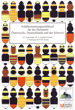 Gokcezade, Gereben-Krenn, Neumayer, Krenn: Apidae