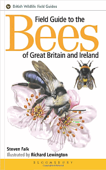 Steven Falk: Field Guide to the Bees of Great Bitain and Ireland