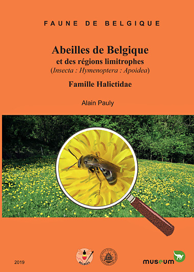 Pauly: Abeilles de Belgique et des régions limitrophes ... Halictidae
