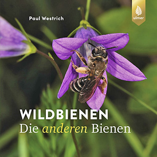 Wildbienen · Die anderen Bienen: 6. Auflage