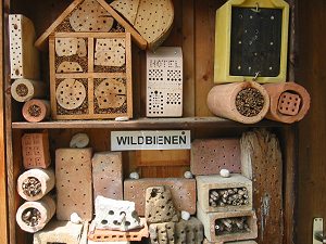Amslers Wildbienenwand: Nisthilfen (3)