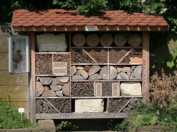 Botanischer Garten Bonn: variantenreicher Bienenstand