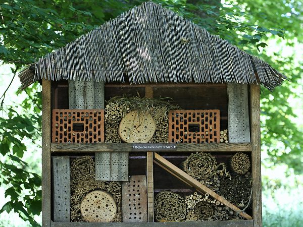 Botanischer Garten Bonn: Kleiner Bienenstand