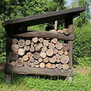 NaturGut Ophoven: Bienenhütte mit Baumscheiben