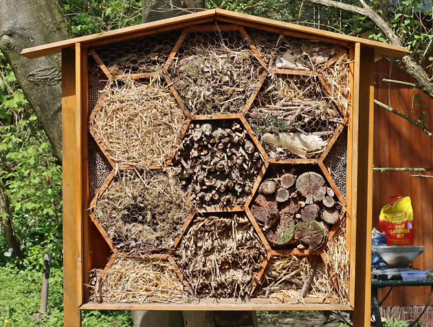 Wildbienenwand eines Imkervereins