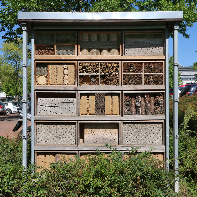 Wildbienenhaus der TBS